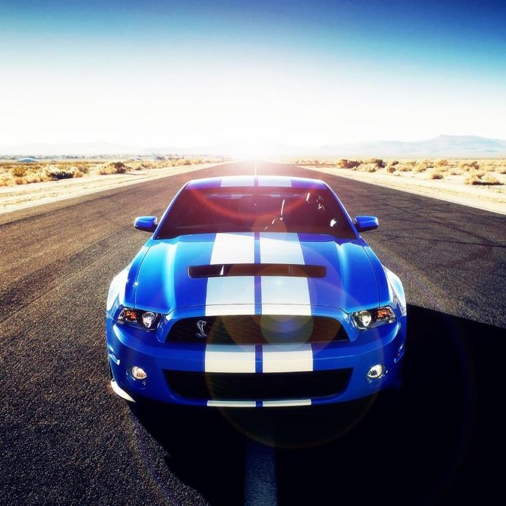 只有汽車陪練才能搞定“女司機(jī)”